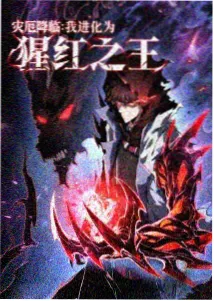 上新番剧4